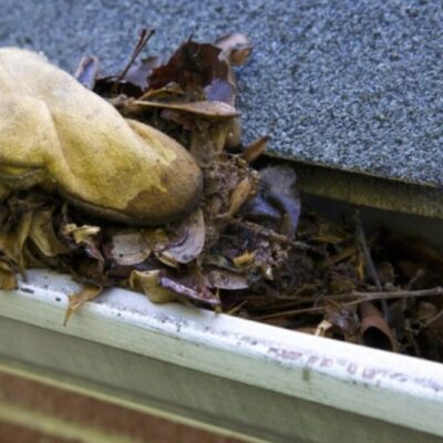 Gutter Cleaning - Myrtle Beach Gutter Guard Protection Experts