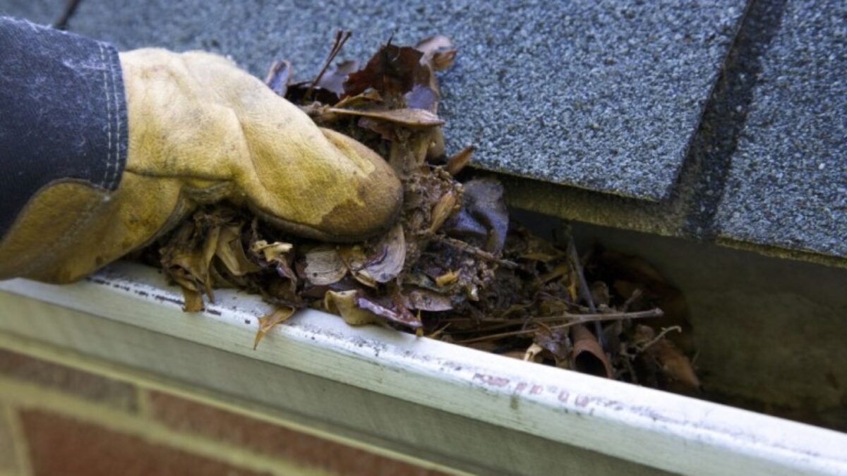 Gutter Cleaning - Myrtle Beach Gutter Guard Protection Experts